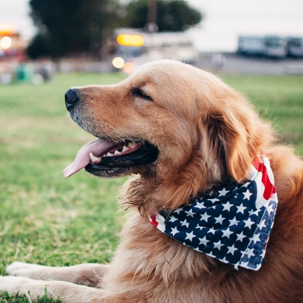 American Flag Red White and Blue Bandana for Pets